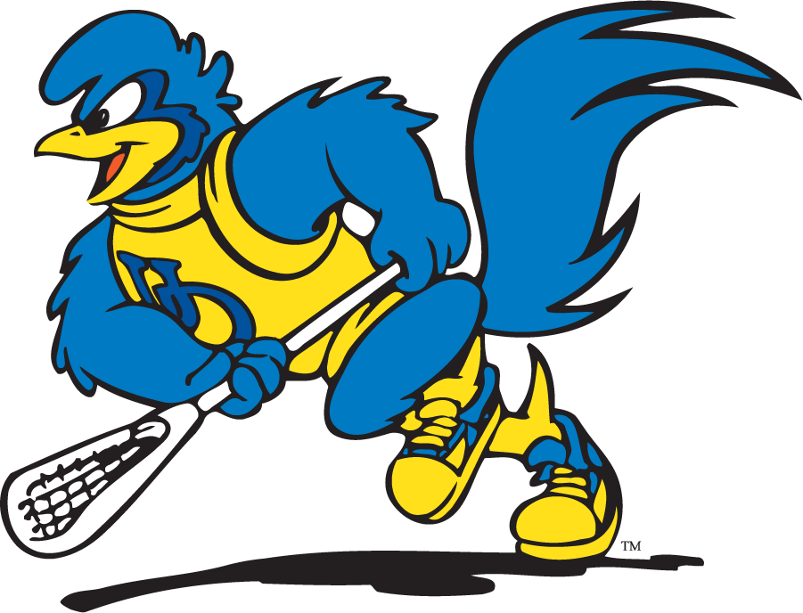 Delaware Blue Hens 1999-2009 Mascot Logo v2 diy iron on heat transfer